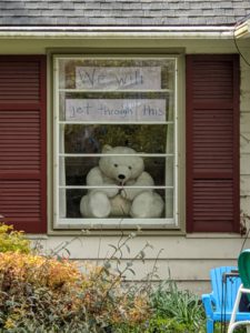 Teddy bear in window