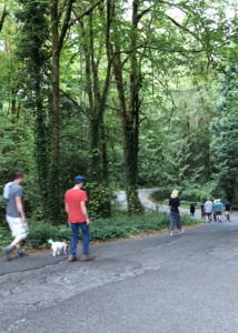 People walking on a forested street