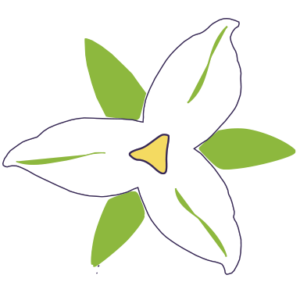 Trillium logo for dark background