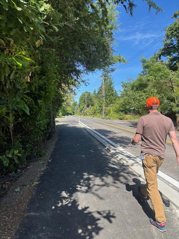 Person walking alson SW Boones Ferry Rd shoulder after construction of a safe shoulder.